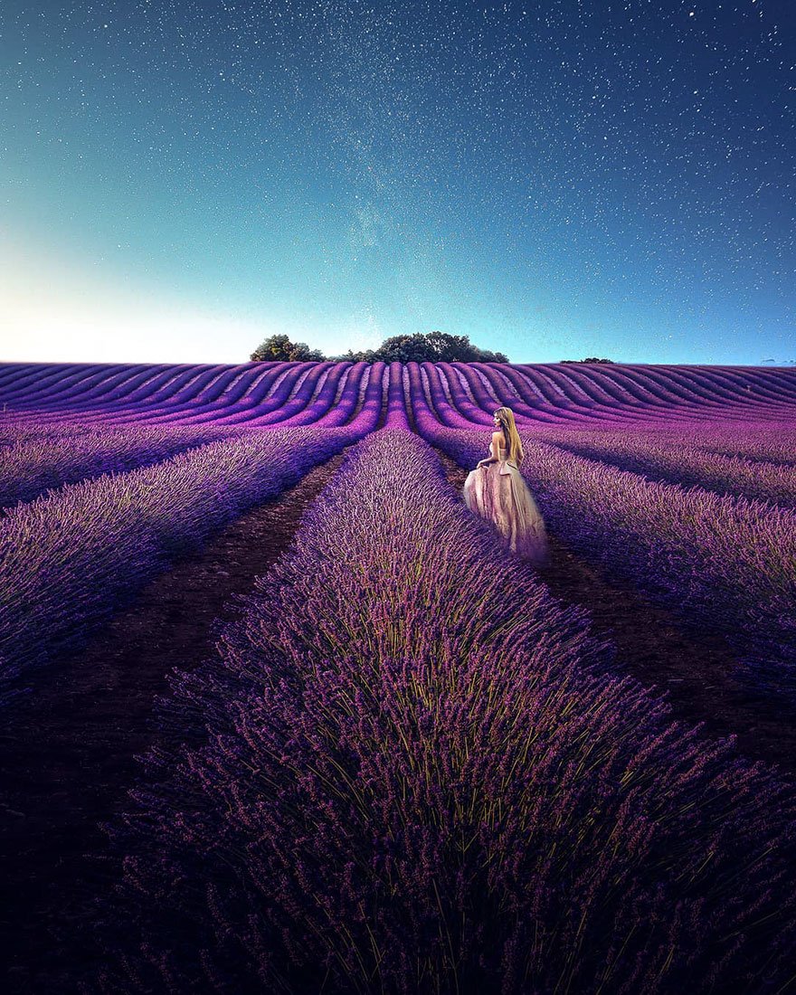 Фотография: Навевая спокойствие и сон: фото лавандовых полей на юге Франции №12 - BigPicture.ru