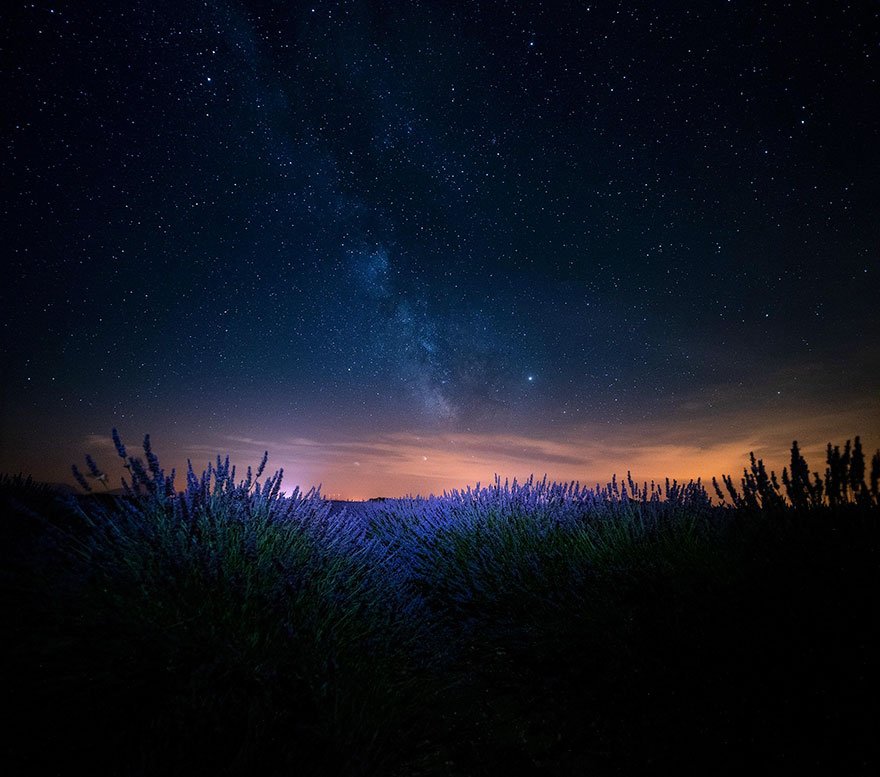Фотография: Навевая спокойствие и сон: фото лавандовых полей на юге Франции №13 - BigPicture.ru