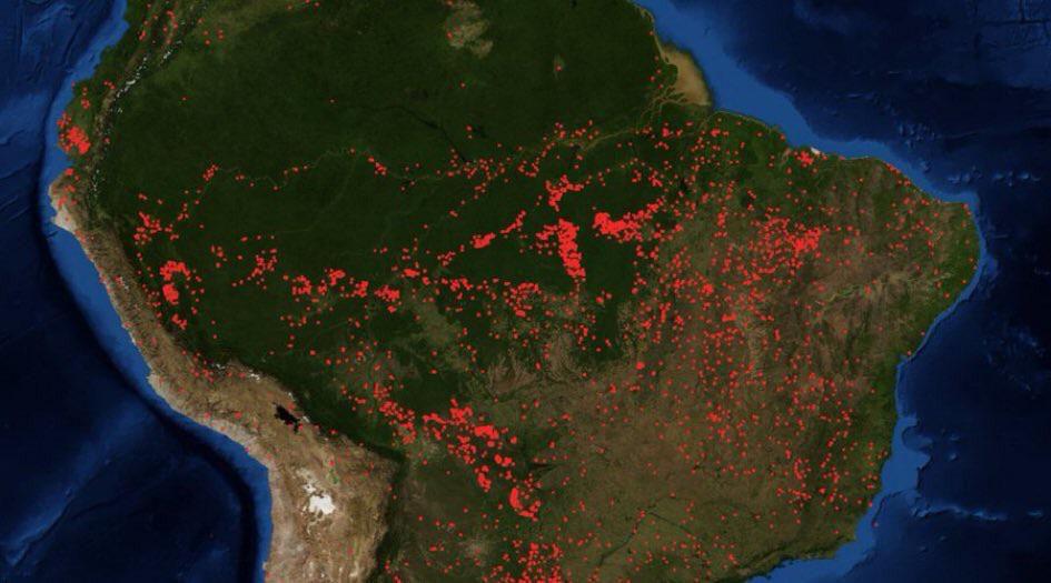 Фотография: Пепельный дождь и затмение: Бразилия утопает в дыму из-за пожаров в лесах Амазонии №5 - BigPicture.ru