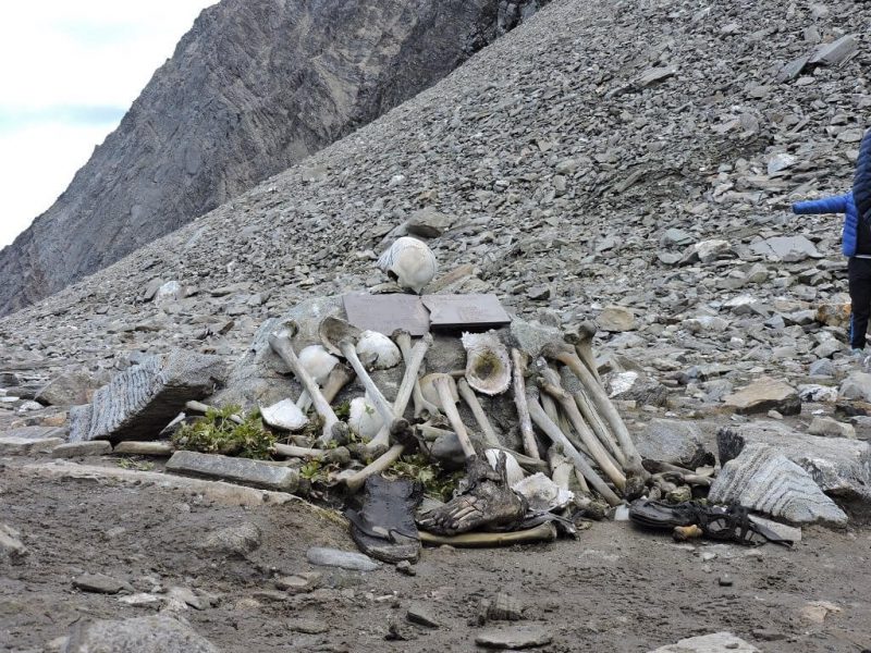 Фотография: Гималайское озеро Роопкунд: кладбище 500 человек, которое хранит свою тайну №5 - BigPicture.ru