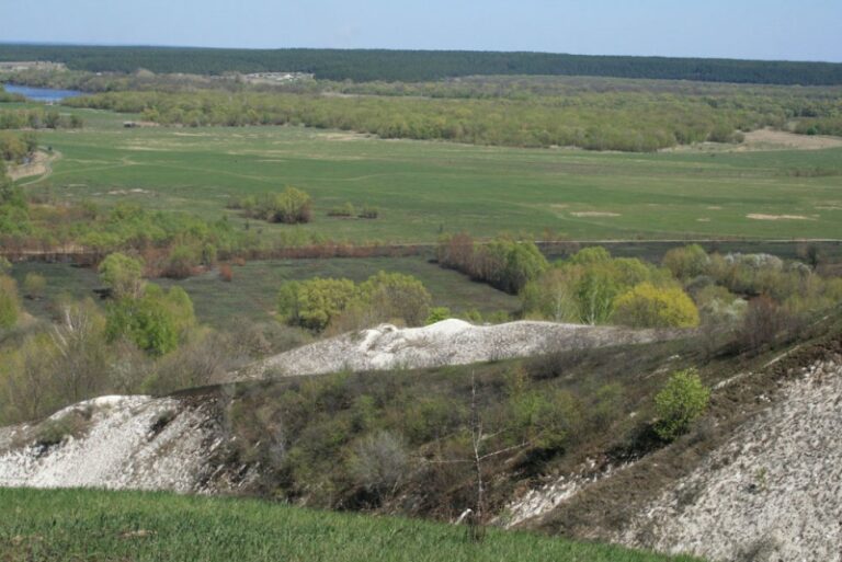 Костенки воронеж фото