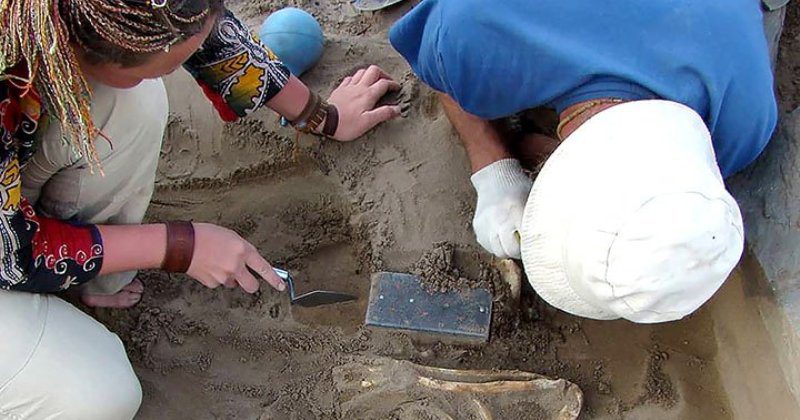 Фотография: В захоронении возрастом 2100 лет археологи нашли  