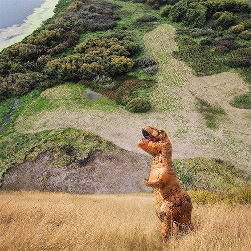 Фотография: Все мечтают об этом костюме тиранозавра, и вот почему №16 - BigPicture.ru