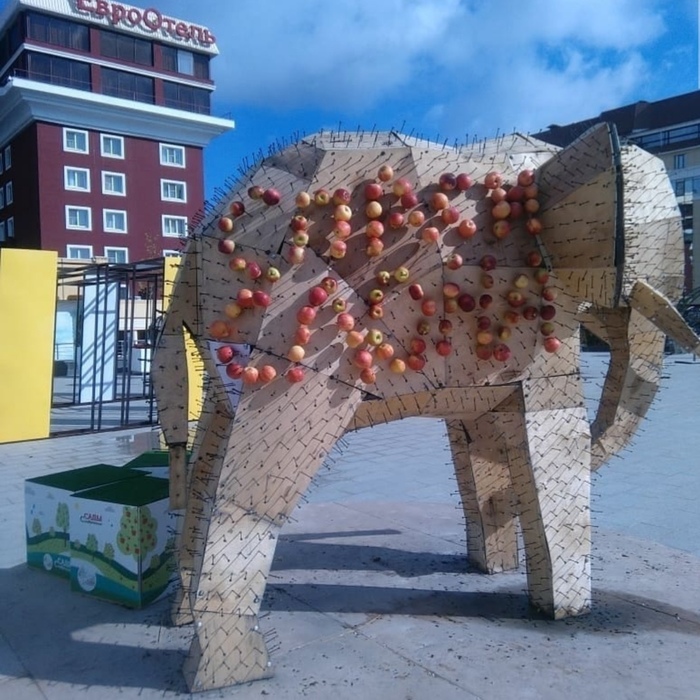 Фотография: В День города жители Ставрополя съели слона и обглодали крону дерева №3 - BigPicture.ru