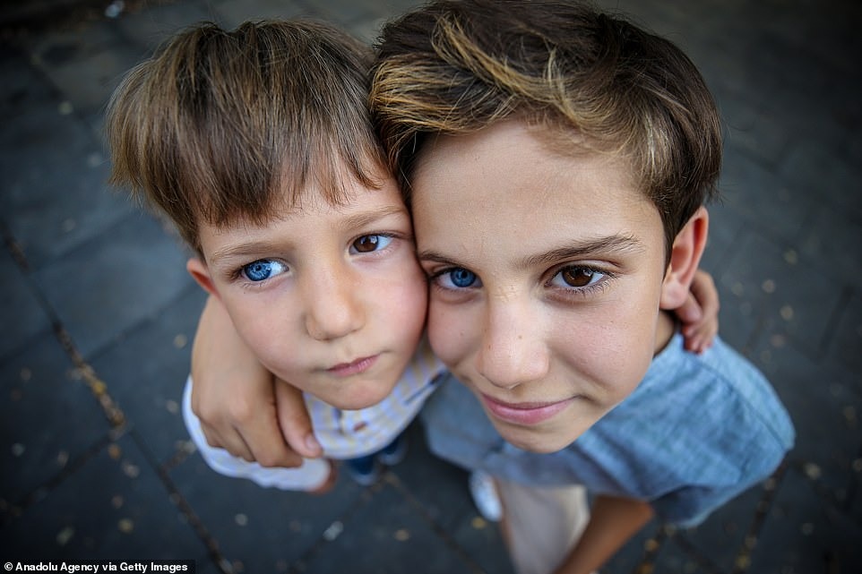 Фотография: Разноцветные гены: братья из Турции с редкой гетерохромией завораживают с первого взгляда №6 - BigPicture.ru
