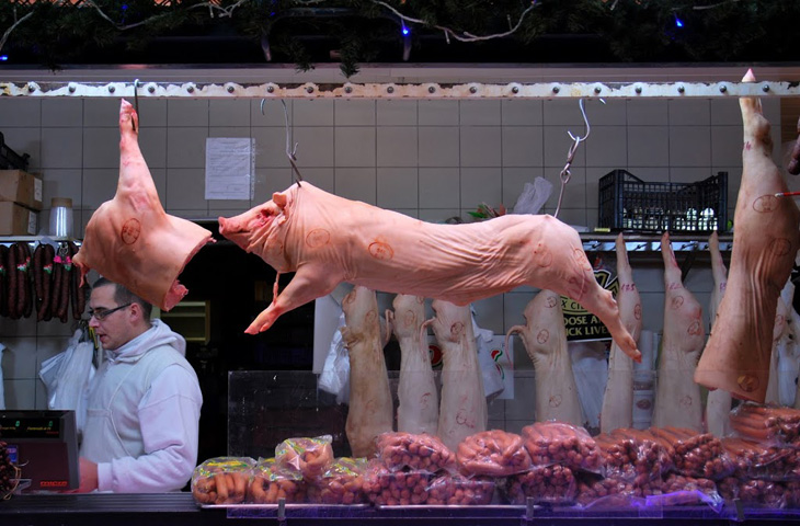 Фотография: Почему евреи не едят свинину? История сложных отношений №7 - BigPicture.ru
