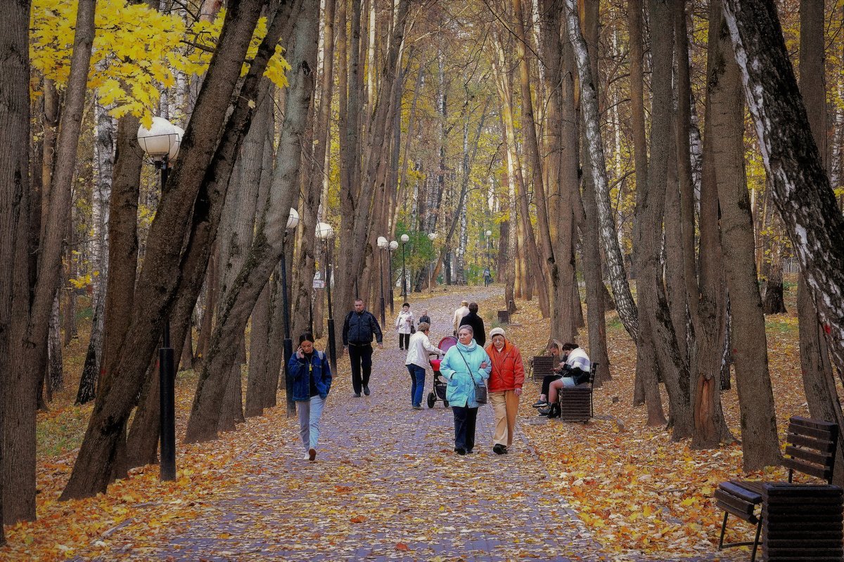 Осенняя Прогулка Фото