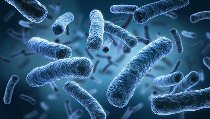 Фотография: Ученые утверждают, что бактерии из нашего кишечника помогают нам думать №2 - BigPicture.ru