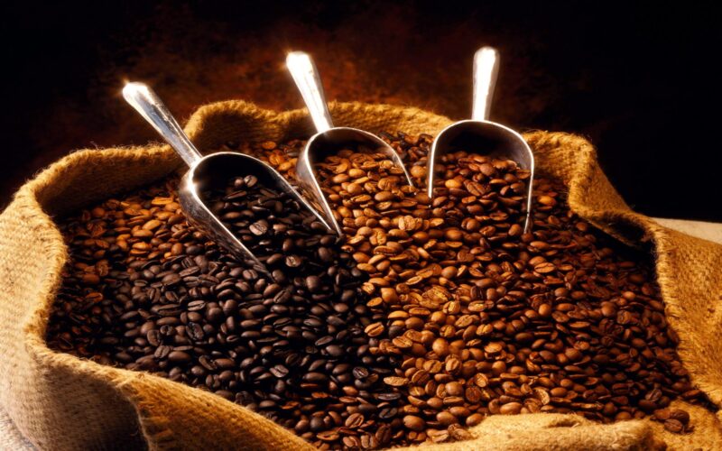 Фотография: Зерновой кофе: секреты вкусовых различий №1 - BigPicture.ru