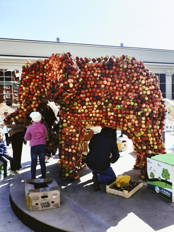 Фотография: В День города жители Ставрополя съели слона и обглодали крону дерева №7 - BigPicture.ru