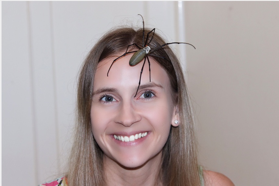 Фотография: Релакс не для слабонервных: Австралийка снимает стресс, разрешая паукам ползать по лицу №2 - BigPicture.ru