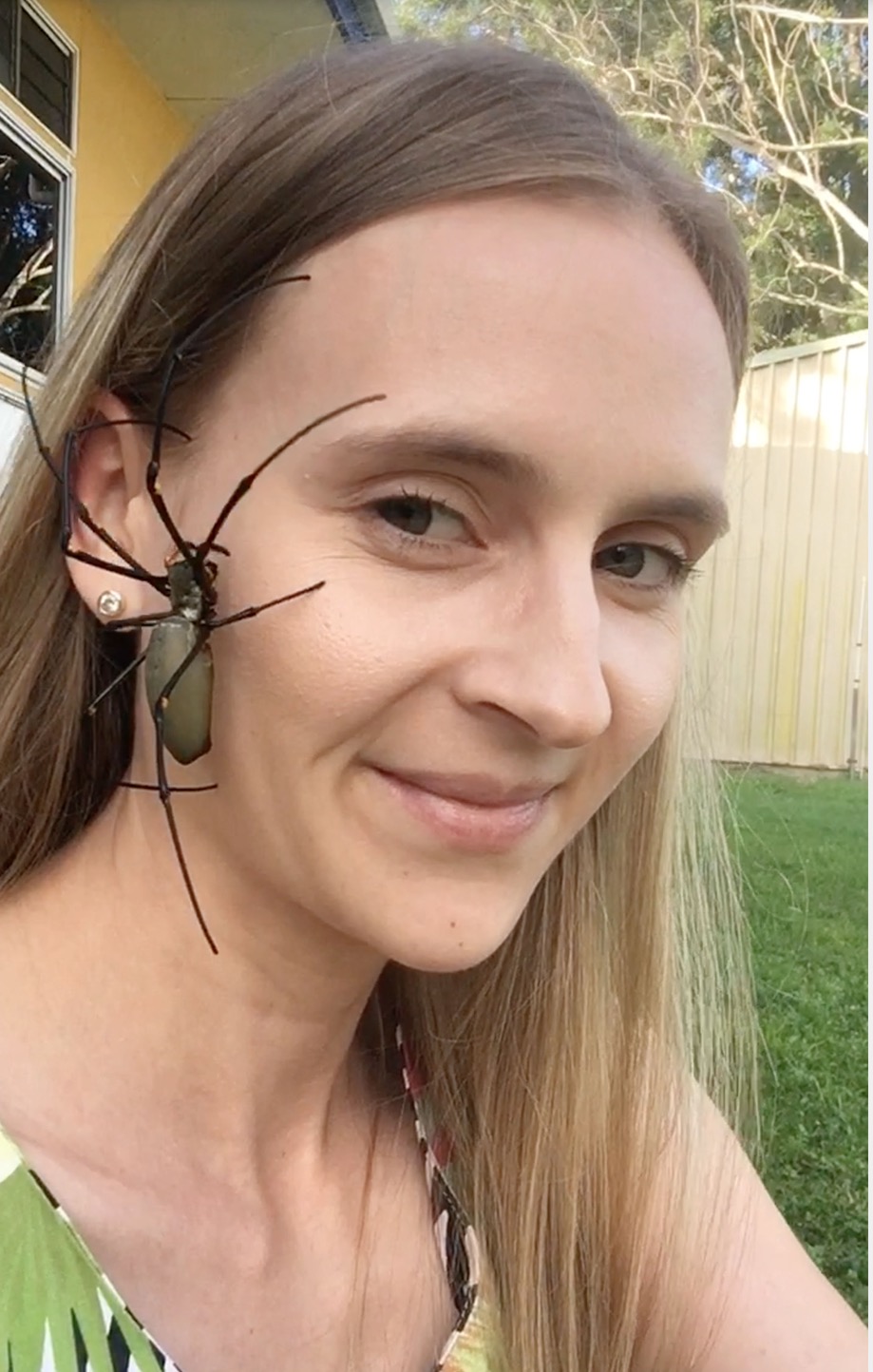 Фотография: Релакс не для слабонервных: Австралийка снимает стресс, разрешая паукам ползать по лицу №3 - BigPicture.ru