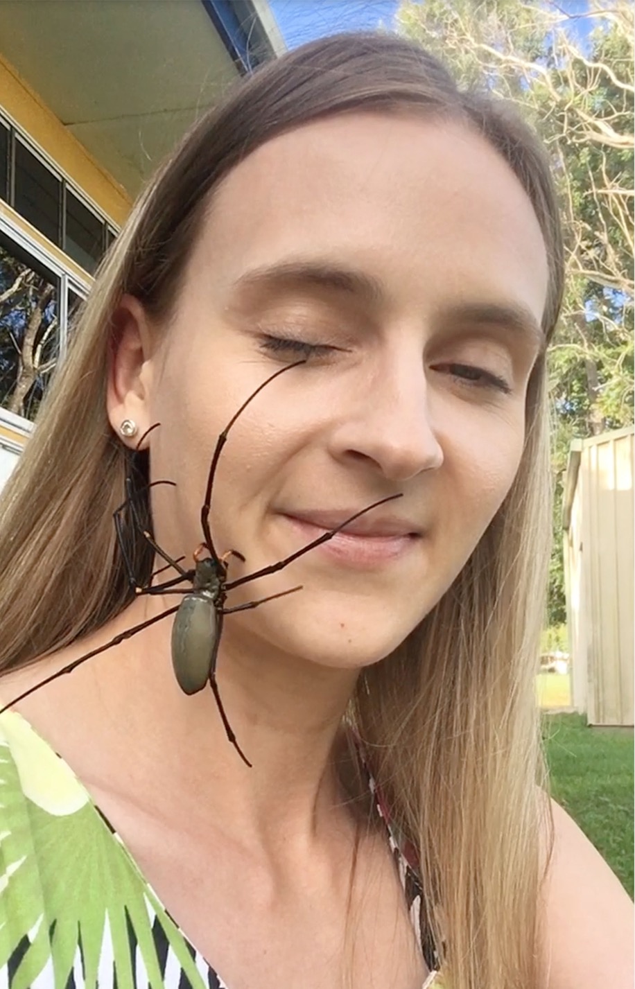 Фотография: Релакс не для слабонервных: Австралийка снимает стресс, разрешая паукам ползать по лицу №9 - BigPicture.ru