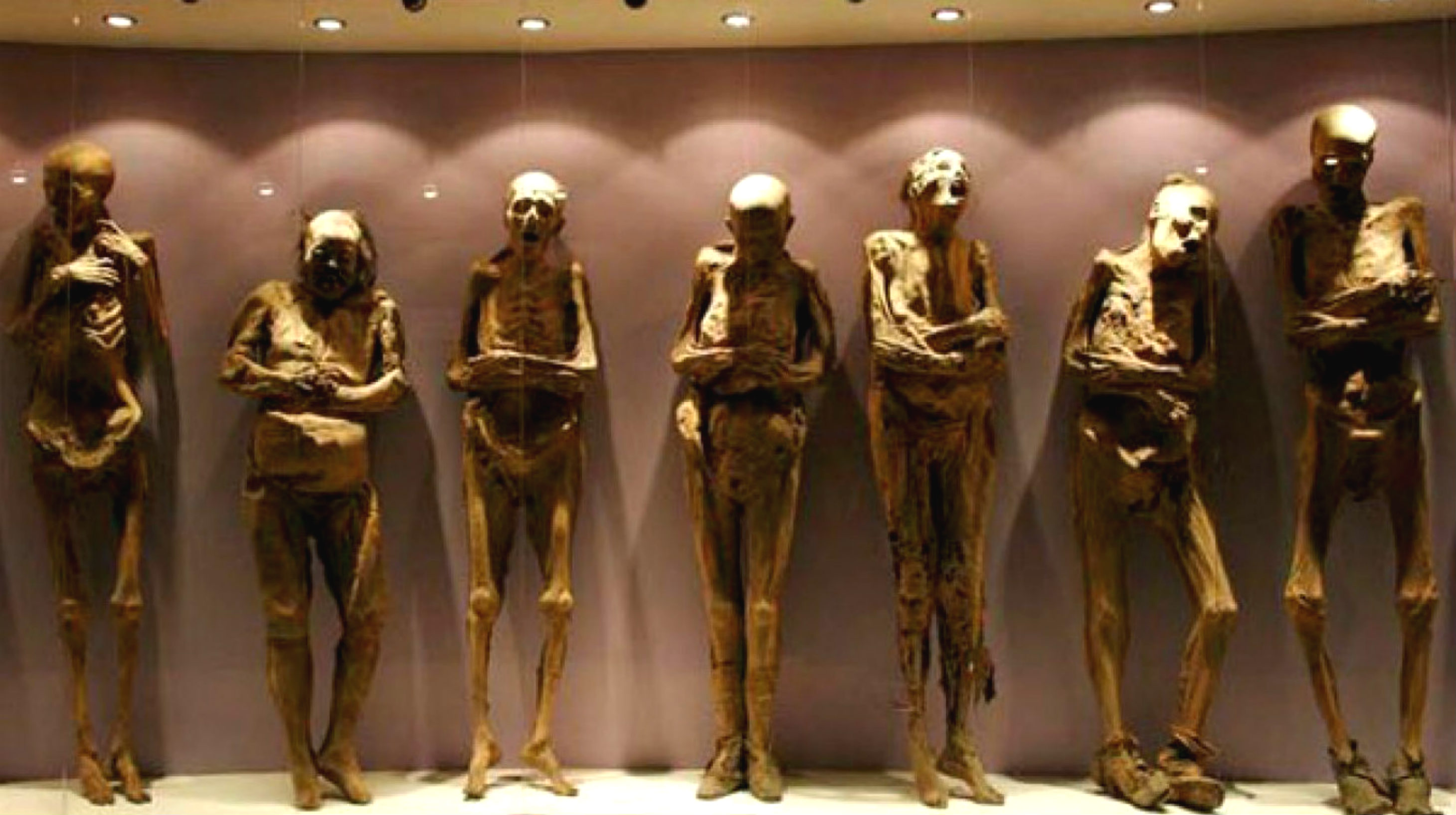 Фотография: Зачем во времена Средневековья европейцы ели египетские мумии №1 - BigPicture.ru