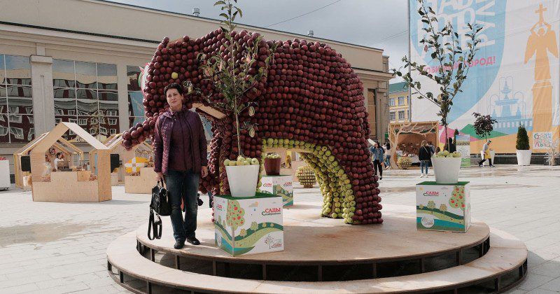 Фотография: В День города жители Ставрополя съели слона и обглодали крону дерева №1 - BigPicture.ru