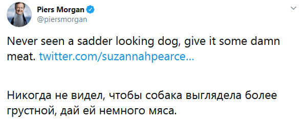 Фотография: Экоактивистка похвасталась псом-веганом и вызвала бурю возмущения в сети №4 - BigPicture.ru