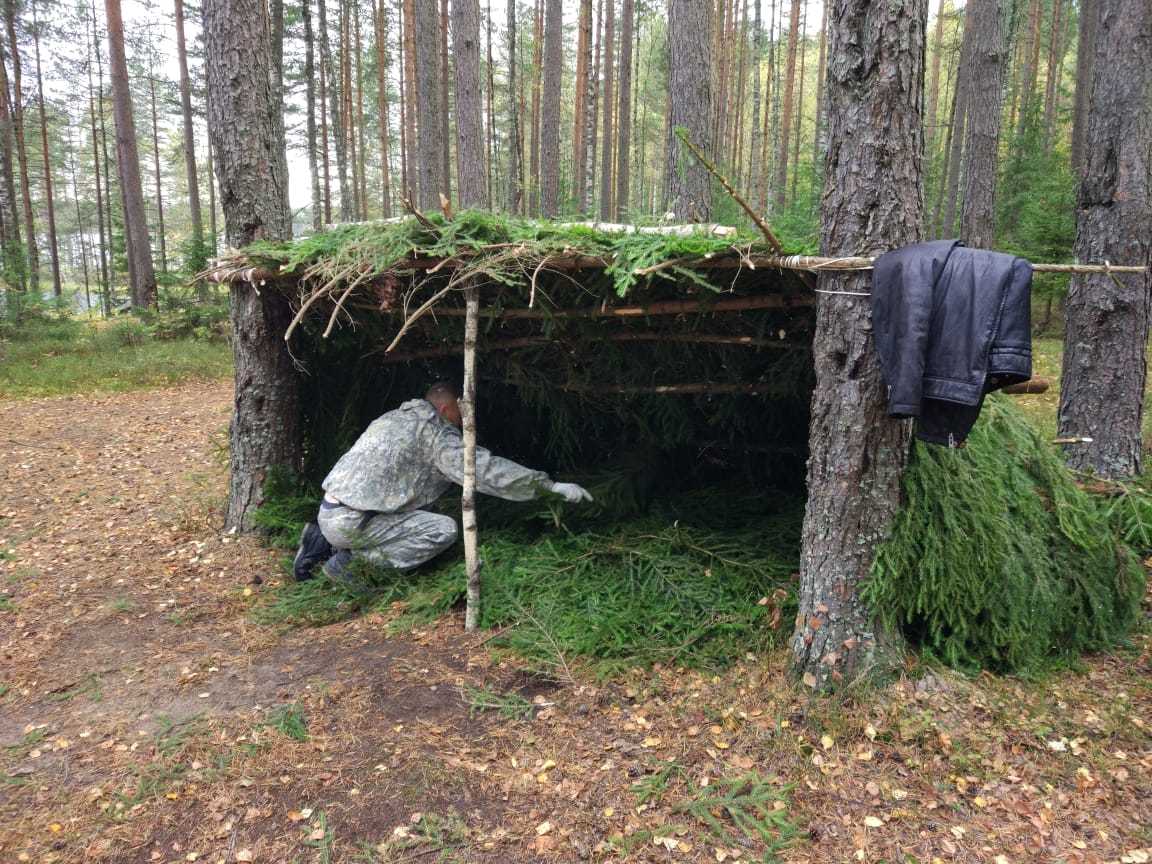 Фото шалаша в лесу летом