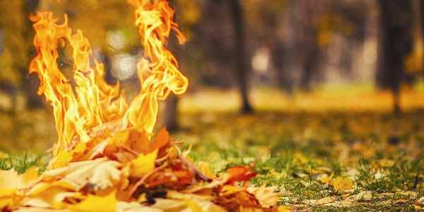 Дым отечества — привычное всем сжигание листьев оказалось опаснее курения
