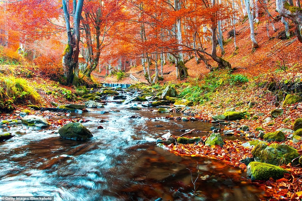 Фотография: Очей очарованье: самые красивые места для путешествий осенью №1 - BigPicture.ru