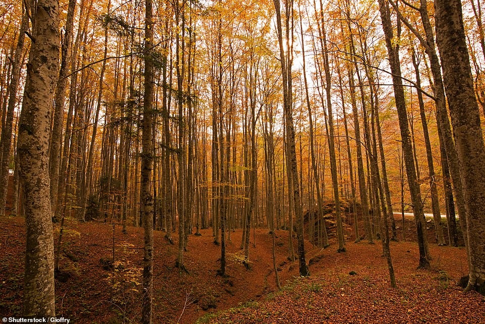 Фотография: Очей очарованье: самые красивые места для путешествий осенью №5 - BigPicture.ru
