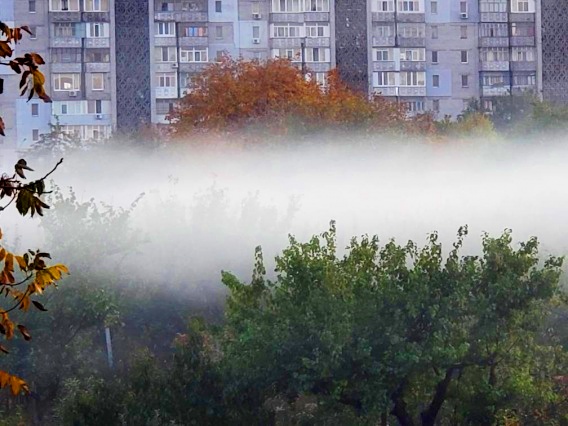 Фотография: Дым отечества: привычное всем сжигание листьев оказалось опаснее курения №4 - BigPicture.ru