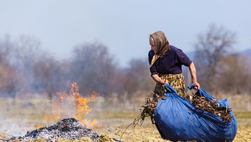 Фотография: Дым отечества: привычное всем сжигание листьев оказалось опаснее курения №3 - BigPicture.ru