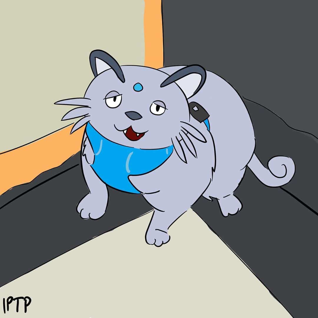 Фотография: Толстая кошка по кличке Шлакоблок — новая звезда соцсетей. Многие узнали в ней себя №11 - BigPicture.ru