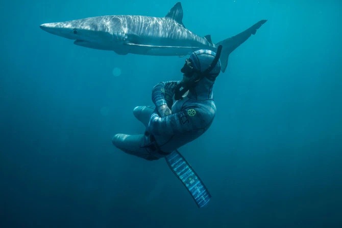 Фотография: Улыбка смерти: как бесстрашный дайвер контактирует с акулами №1 - BigPicture.ru