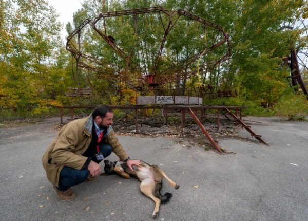 Лучи доброты: ученый из США пожертвовал карьерой ради спасения брошенных собак в Чернобыле