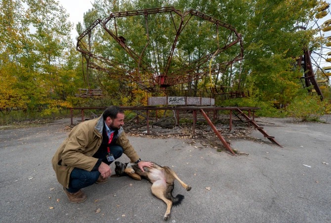 Фотография: Лучи доброты: ученый из США пожертвовал карьерой ради спасения брошенных собак в Чернобыле №1 - BigPicture.ru