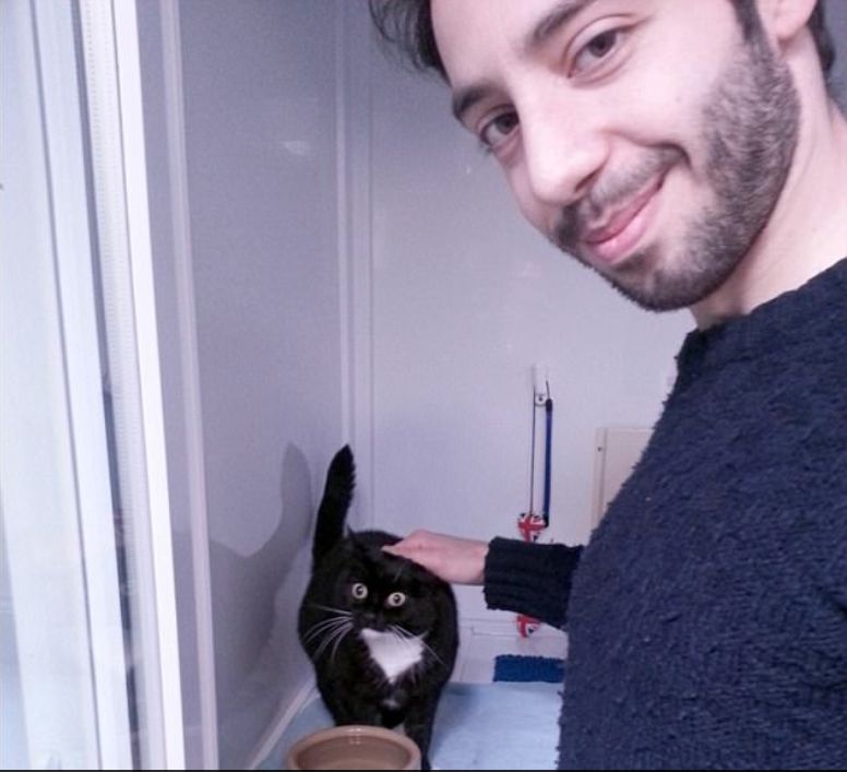 Фотография: Ошарашенная кошка Зельда покоряет сердца в интернете своим чумовым взглядом №2 - BigPicture.ru