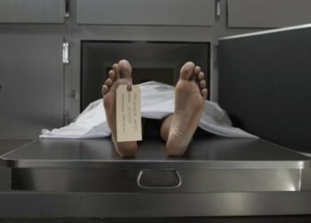 Российским автомобилистам планируют устраивать экскурсии в морги