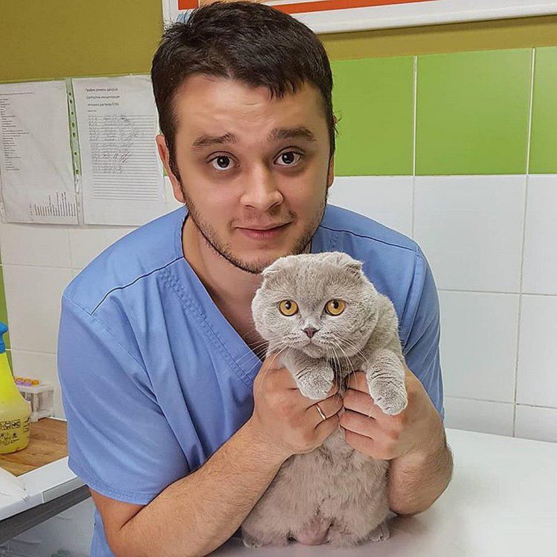 Фотография: Российскому ветеринару грозит тюрьма за то, что он спасал животных от смерти №5 - BigPicture.ru