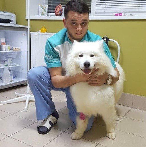 Фотография: Российскому ветеринару грозит тюрьма за то, что он спасал животных от смерти №3 - BigPicture.ru