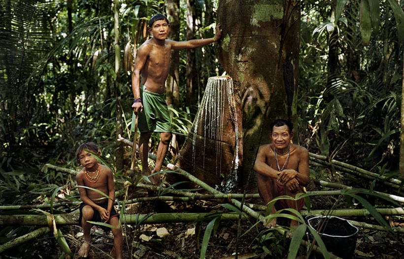 Голые племена амазонки (45 фото) - порно фото поддоноптом.рф