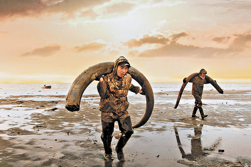Foto: Blond Sirts: das verschwundene Volk der Schamanen, die in der nördlichen Arktis lebten #5 - BigPicture.ru