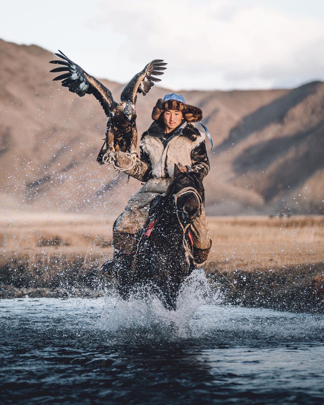 Фотография: Союз человека и птицы: 7 потрясающих фотографий соколиной охоты в Монголии №4 - BigPicture.ru