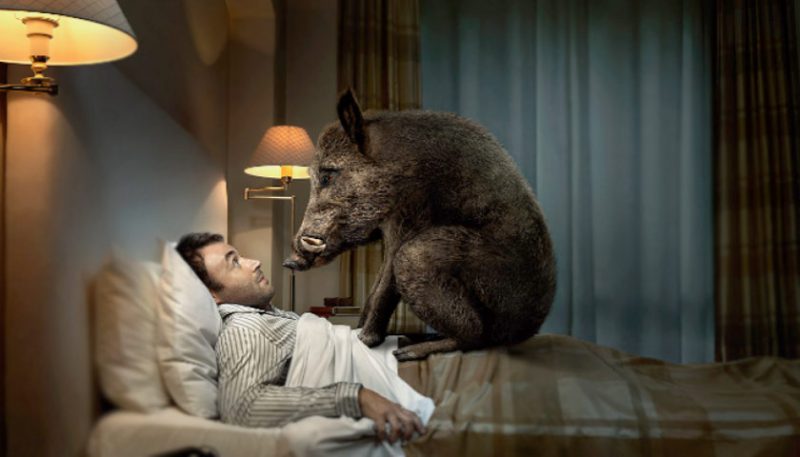 Фотография: Ученые объяснили назначение кошмарных снов — без них не обойтись №2 - BigPicture.ru