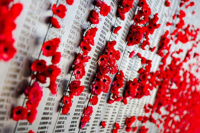 Фотография: В Австралии вандал воровал цветы с могилы неизвестного солдата... №7 - BigPicture.ru