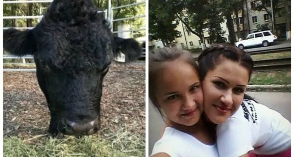 23 забавные оптические иллюзии, которые поставят вас в тупик