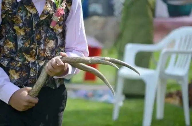 Фотография: Обстрел негативом: молодоженов раскритиковали за свадьбу в охотничьем стиле №4 - BigPicture.ru