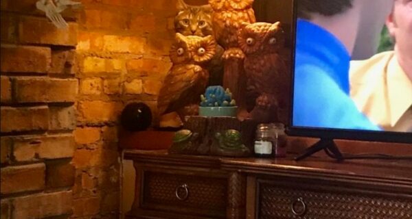 17 фотографий, на которых происходит что-то очень странное