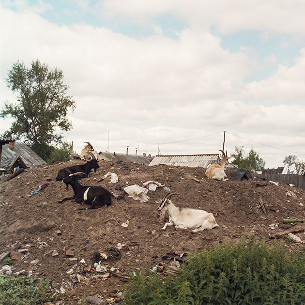 Фотография: Как живут люди Шашлыкограда в Мордовии, которые кормят дальнобойщиков №24 - BigPicture.ru