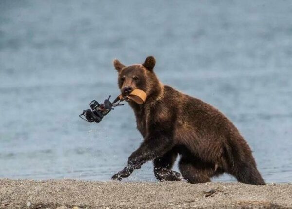 Фотографии обо всем, которые сделают ваш день ярче, а улыбку шире