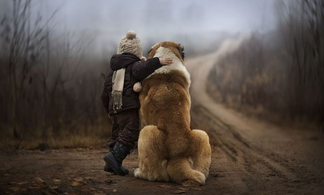 Фотография: 25 добрых фото, которые согреют душу больше, чем тысяча слов и объятий №1 - BigPicture.ru