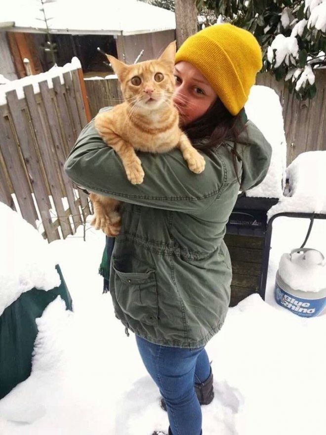 Фотография: Реакция кошек на первый снег: 25 фото, которые поднимут вам настроение №9 - BigPicture.ru