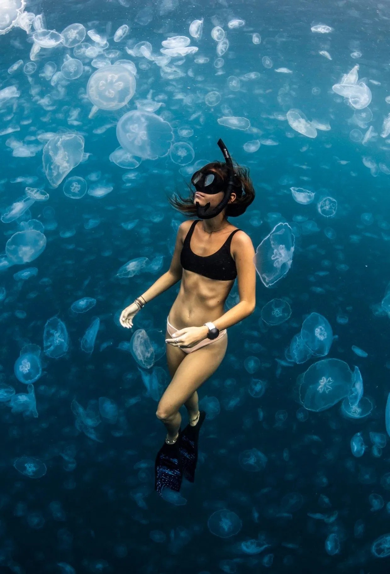 Фотография: Прогулки под водой: бесстрашные фридайверы в окружении тысяч медуз №8 - BigPicture.ru
