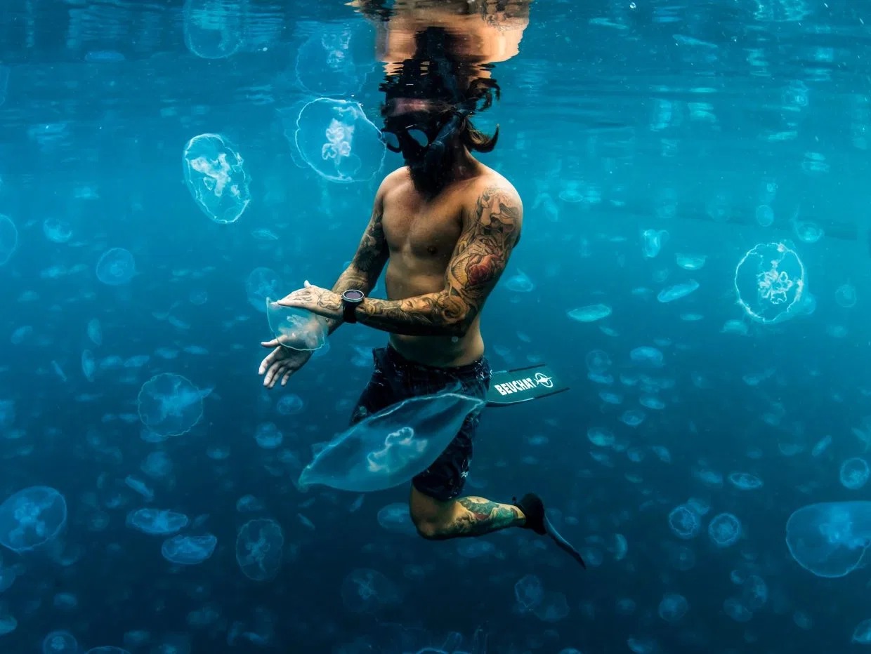 Фотография: Прогулки под водой: бесстрашные фридайверы в окружении тысяч медуз №4 - BigPicture.ru