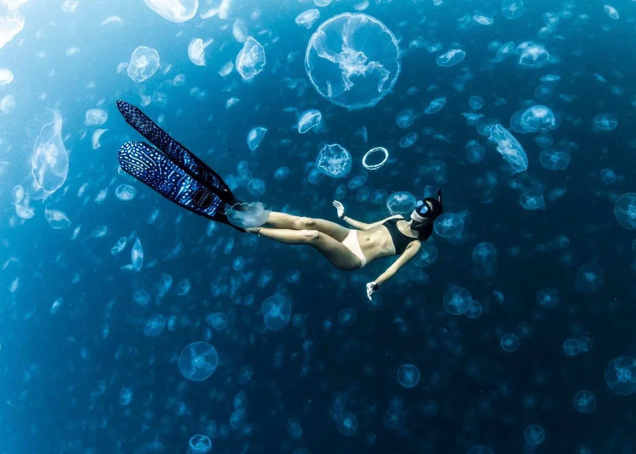 Фотография: Прогулки под водой: бесстрашные фридайверы в окружении тысяч медуз №1 - BigPicture.ru