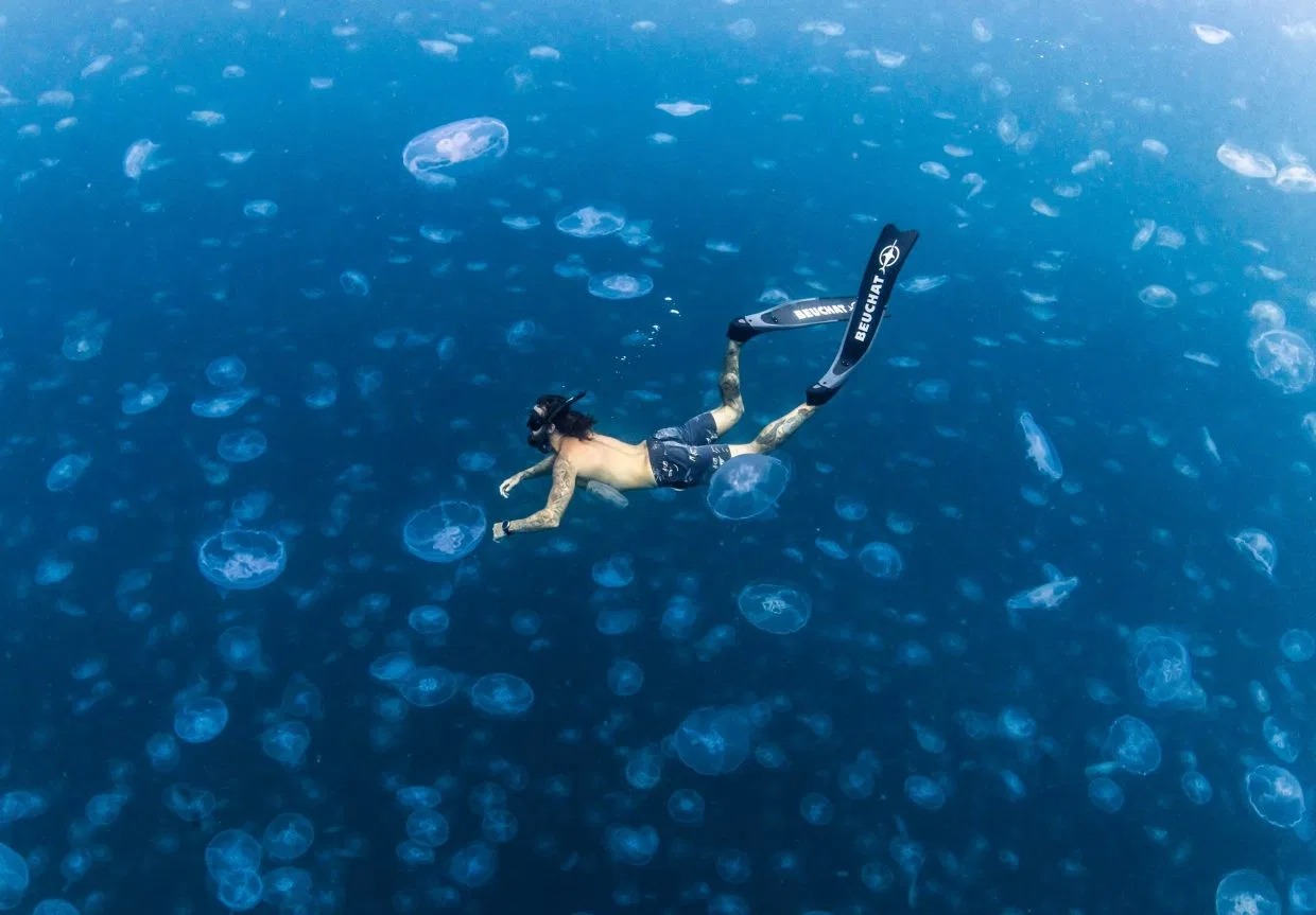 Фотография: Прогулки под водой: бесстрашные фридайверы в окружении тысяч медуз №7 - BigPicture.ru